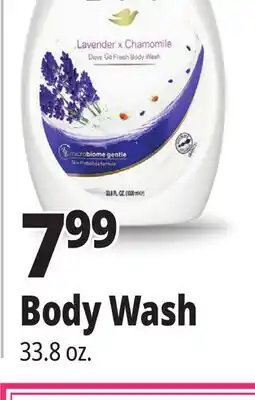 Ocean State Job Lot Body Wash offer