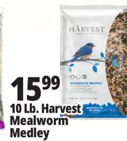Ocean State Job Lot Harvest Seed & Supply Mealworm Medley Wild Bird Food 10 lb offer
