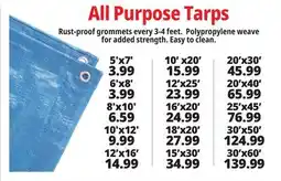Ocean State Job Lot All Purpose Tarps offer