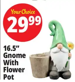 Ocean State Job Lot Gnome With Flower Pot 16.5 offer