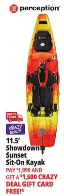 Ocean State Job Lot Perception Showdown 11.5 Fishing Pedal Kayak Dapper offer