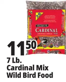 Ocean State Job Lot Better Bird Premium Cardinal Blend Bird Food 7 lbs offer