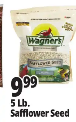 Ocean State Job Lot Wagner's Safflower Seed Deluxe Wild Bird Food offer