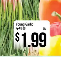 Hmart Young Garlic offer