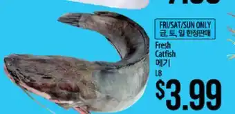 Hmart Fresh Catfish offer