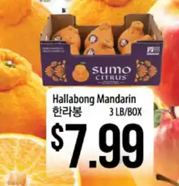 Hmart Hallabong Mandarin offer