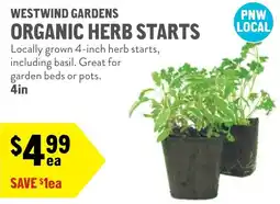 New Seasons Market Westwind gardens organic herb starts offer