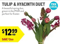 New Seasons Market Tulip & hyacinth duet offer