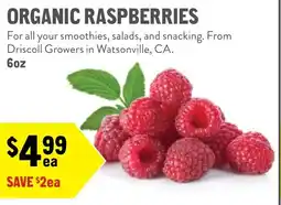 New Seasons Market Organic raspberries offer