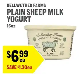 New Seasons Market Bellwether farms plain sheep milk yogurt offer