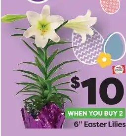 Weis Markets 6 Easter Lilies offer