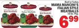 Bravo Supermarkets MAMA MANCINI'S ITALIAN STYLE ITALIAN STYLE MEATBALLS offer