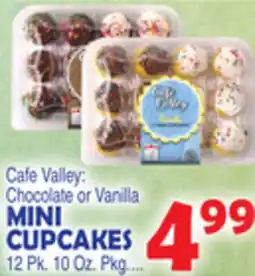 Bravo Supermarkets MINI CUPCAKES offer