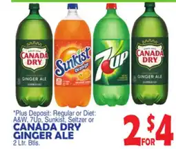 Bravo Supermarkets CANADA DRY GINGER ALE offer