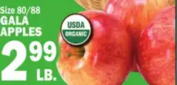 Bravo Supermarkets GALA APPLES offer