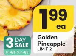 ACME Golden Pineapple offer