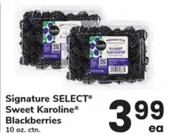 ACME Signature SELECT Sweet Karoline Blackberries offer