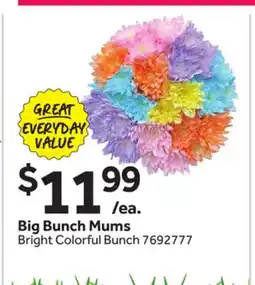 Stop&Shop Big Bunch Mums offer