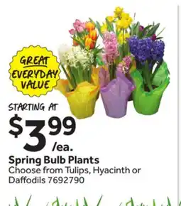 Stop&Shop Spring Bulb Plants offer