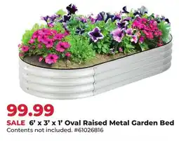 Runnings Backyard Expressions 6' x 3' x 1' Oval Raised Metal Garden Bed offer