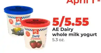 AE Dairy whole milk yogurt