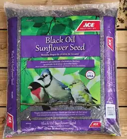 Ace Hardware Ace 10 Lb. Black Oil Sunflower Seed offer