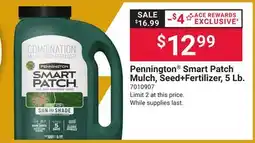 Ace Hardware Pennington Smart Patch Mulch, Seed + Fertilizer, 5 Lb offer