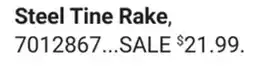 Ace Hardware Steel Tine Rake offer