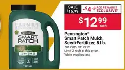 Ace Hardware Pennington Smart Patch Mulch, Seed + Fertilizer offer