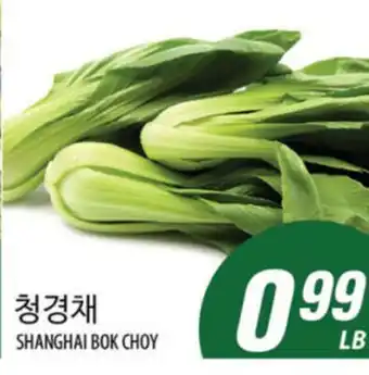 Joong Boo Market SHANGHAI BOK CHOY offer