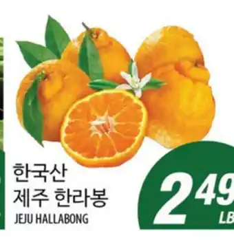 Joong Boo Market JEJU HALLABONG offer