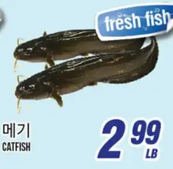 Joong Boo Market CATFISH offer