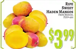 Trade Fair Supermarket RIPE SWEET HADEN MANGOS offer