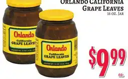 Trade Fair Supermarket Orlando California Grape Leaves offer