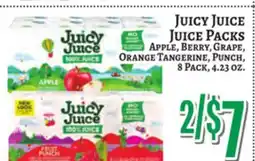 Trade Fair Supermarket JUICY JUICE JUICE PACKS offer