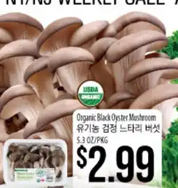 Hmart Organic Black Oyster Mushroom offer