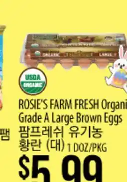 Hmart ROSIE'S FARM FRESH Organic Grade A Large Brown Eggs offer