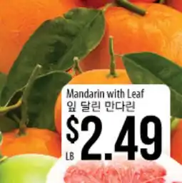 Hmart Mandarin with Leaf offer