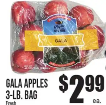 Extra Supermarket GALA APPLES offer