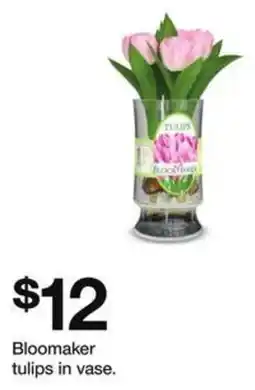 Target Bloomaker tulips in vase offer