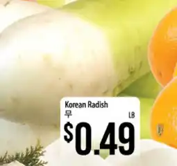 Hmart Korean Radish offer