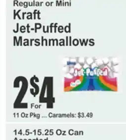 Food Universe Regular or Mini Kraft Jet-Puffed Marshmallows offer