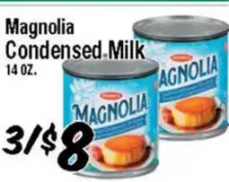 Western Beef Magnolia Condensed Milk offer