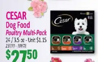 Jetro CESAR Dog Food Poultry Multi-Pack offer