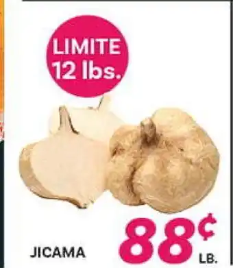 El Paso Grande JICAMA offer