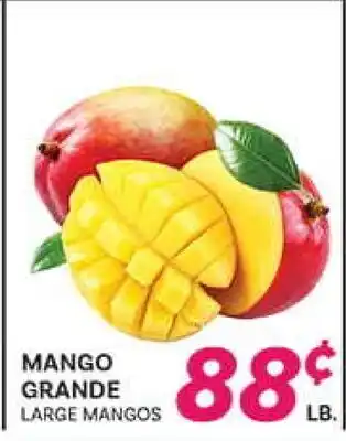 El Paso Grande MANGO GRANDE offer