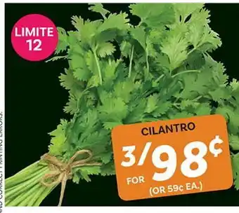 El Paso Grande CILANTRO offer