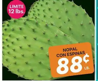 El Paso Grande NOPAL CON ESPINAS offer