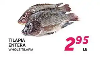 El Paso Grande WHOLE TILAPIA offer