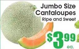 Supremo Foods Inc Jumbo Size Cantaloupes offer